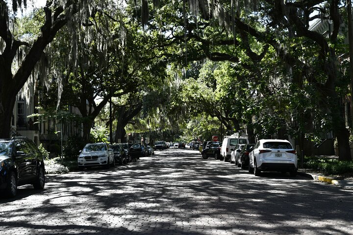 Chippewa Square to Forsyth Park: A Self-Guided Audio Tour of Savannah - Photo 1 of 8